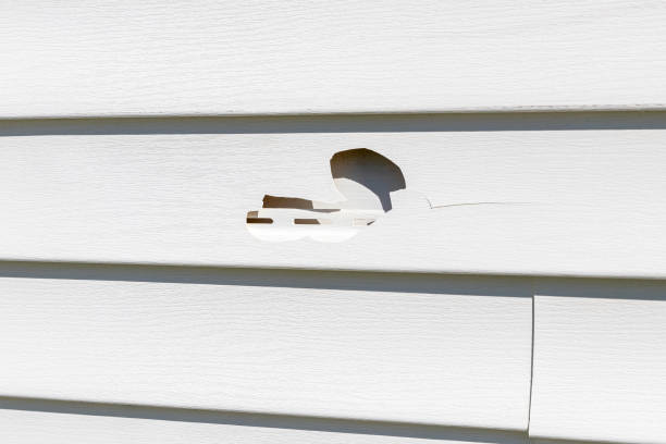 Milford, UT Siding Installation Pros